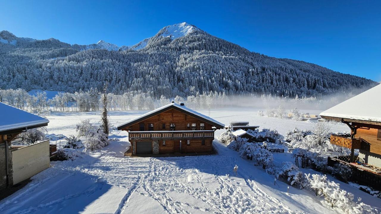 Demi-Chalet Vadel La Panthiaz 15 Pers 5 Chambres Ла-Шапель-д'Абонданс Экстерьер фото