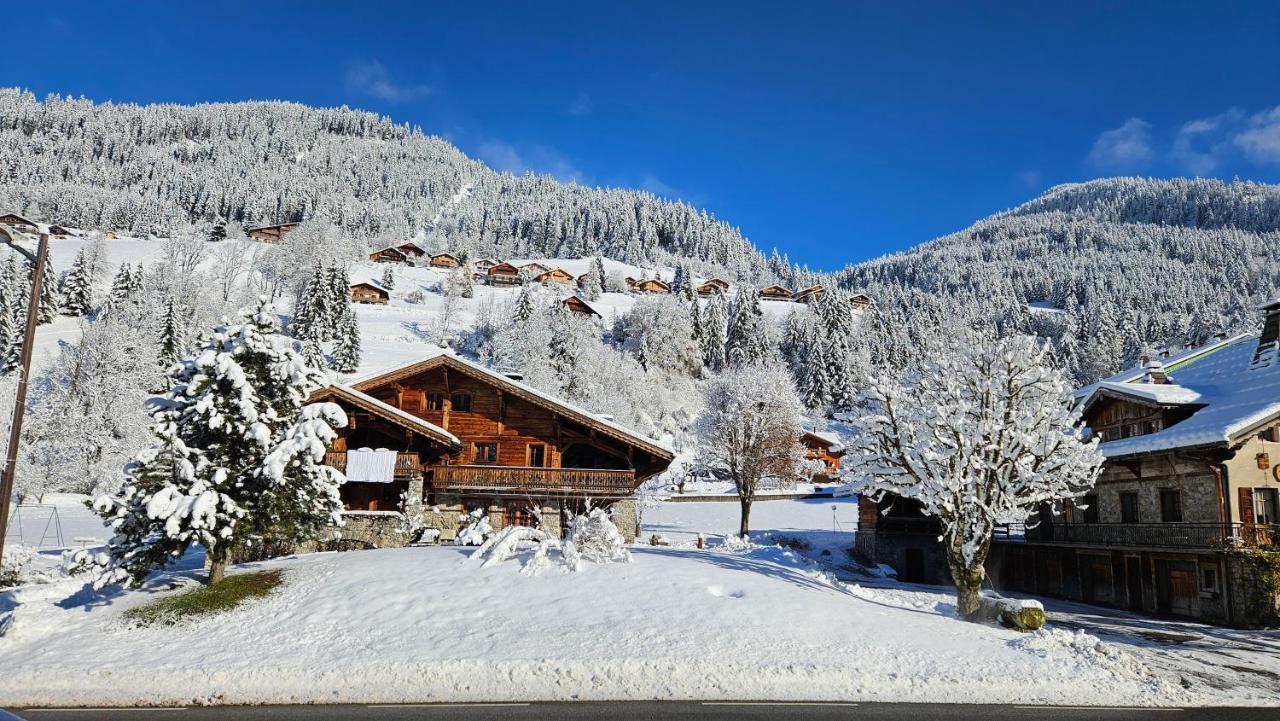 Demi-Chalet Vadel La Panthiaz 15 Pers 5 Chambres Ла-Шапель-д'Абонданс Экстерьер фото
