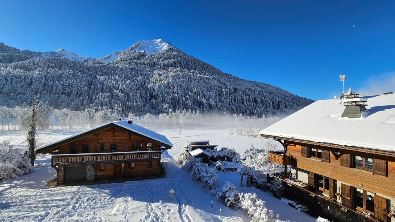 Demi-Chalet Vadel La Panthiaz 15 Pers 5 Chambres Ла-Шапель-д'Абонданс Экстерьер фото