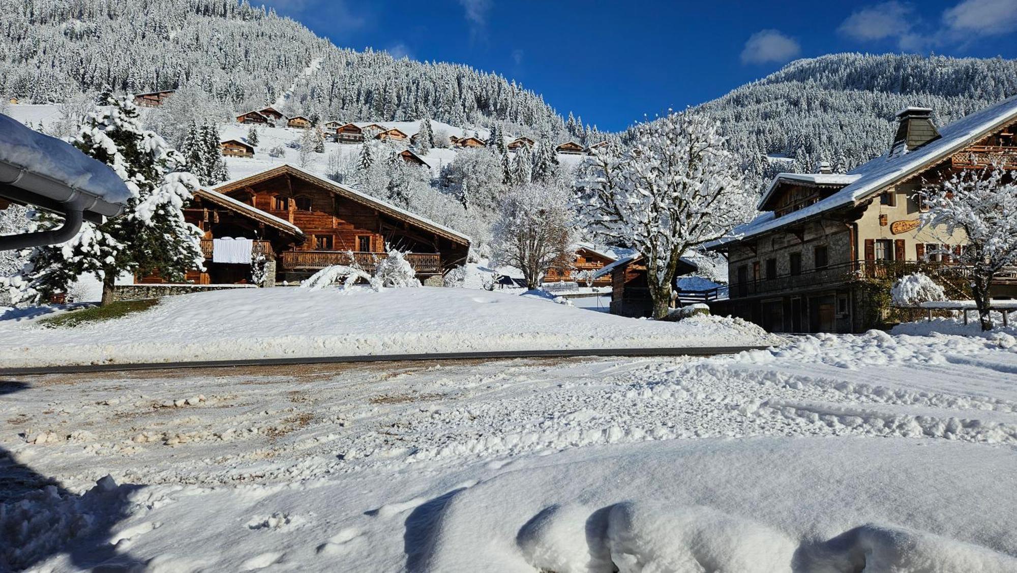 Demi-Chalet Vadel La Panthiaz 15 Pers 5 Chambres Ла-Шапель-д'Абонданс Экстерьер фото